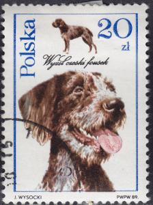 Poland 2902 Dogs Czech Fousek Pointer 1989