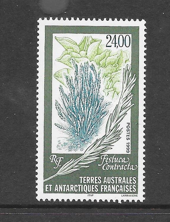 FRENCH SOUTHERN ANTARCTIC TERRITORY -   CLEARANCE#255 PLANT MNH