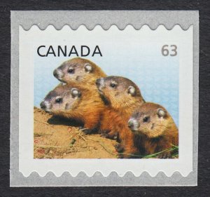 .63c TRANSITIONAL RATE = LARGE COIL = WOODCHUCKS = Canada 2013 #2692A