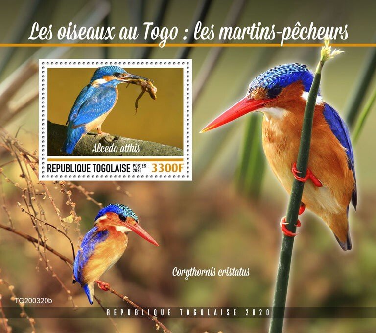 TOGO - 2020 - Birds of Togo, Kingfishers - Perf Souv Sheet  - Mint Never Hinged