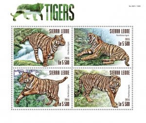 SIERRA LEONE - 2015 - Tigers - Perf 4v Sheet - Mint Never Hinged