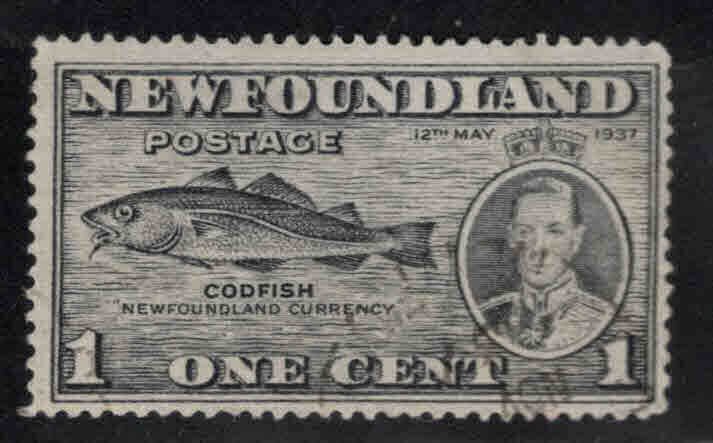 NEWFOUNDLAND Scott 233 Used 1937 codfish stamp