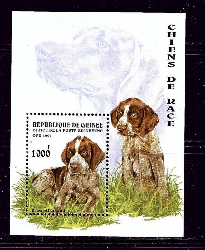 Guinea 1346 MNH 1996 Dogs souvenir sheet