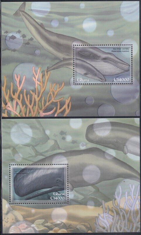 GHANA Sc # 2258-9 CPL MNH SET of 2 SOUVENIR SHEETS of WHALES