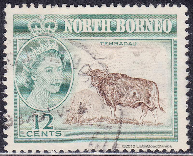 North Borneo 285  Banteng, Wild Oxen, Tembadau 1961