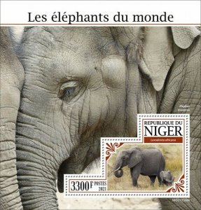 Niger 2021 MNH Wild Animals Stamps Elephants of World Bush Elephant 1v S/S