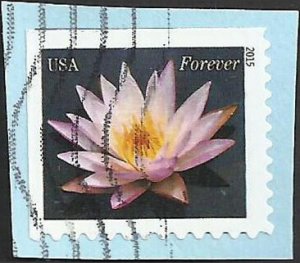 # 4964 Used Pale Pink Water Lily