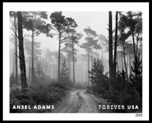 US 5854x Ansel Adams Sequoia National Park CA imperf NDC single MNH 2024