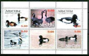 ABKHAZIA - 1999 - Ducks - Perf 6v Sheet - M. N.H. - Private Issue