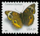 4000 24c Buckeye Fine MNH