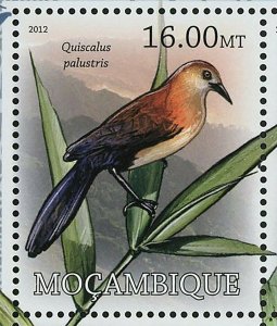 Birds Stamp Quiscalus Palustris Gallirallus Wakensis S/S MNH #5718-5725