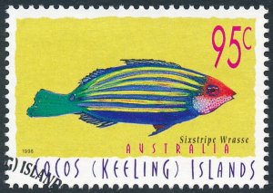 Cocos (Keeling) Islands 1998 95c Marine Life - Sixstripe Wrasse SG339a Fine Used