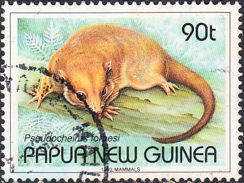 Papua New Guinea  #801  Used