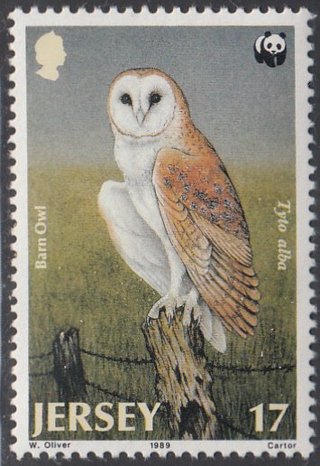 Jersey 1989 MNH Sc #510 17p Barn Owl WWF