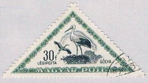 Hungary Stork (AP111902)