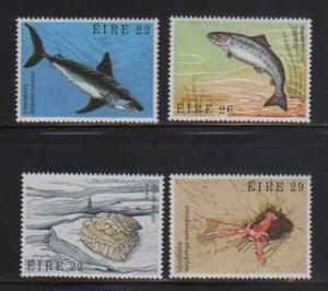 Ireland MNH sc# 525-8 Shark Marine Life 2014CV $3.05