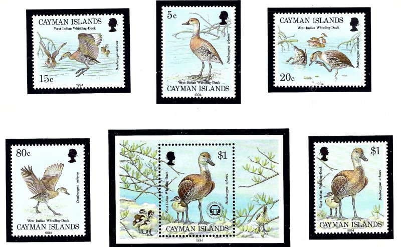 Cayman Is 681-85 MNH 1994 Ducks