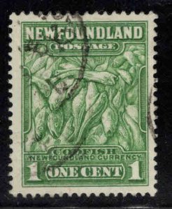 NEWFOUNDLAND Scott 183 Codfish stamp perf 13.5 Used