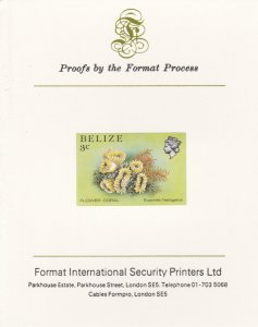 BELIZE 1984 MARINE LIFE imperf on FORMAT INT PROOF CARD