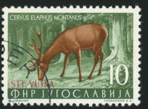 YUGOSLAVIA TRIESTE Sc 95 USED - 1954 Deer