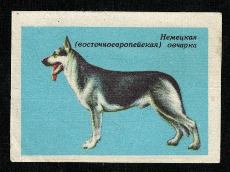 Dog of breed: German (East European) Shepherd, Matchbox Label Stamp (ST-46)