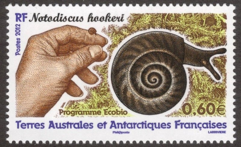 FRENCH ANTARCTIC 2012 Land Snail; Scott 454, Yvert 605; MNH