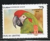 CUBA Sc# 4992  PARROTS birds 75c  2009  MNH mint
