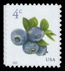 USA 5652 Mint (NH) Blueberries Sheet Stamp (Additional Postage 4c)