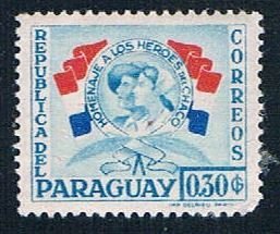 Paraguay Flags 30 - pickastamp (PP9R501)