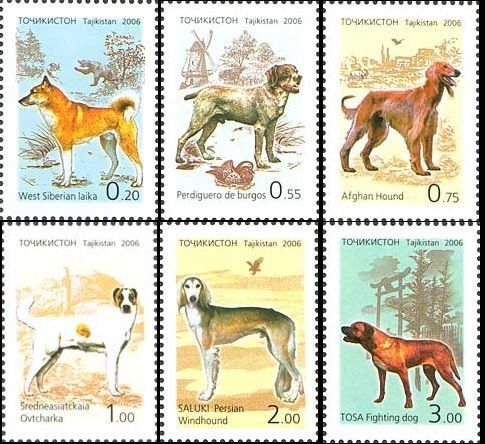 Tajikistan 2006 Dogs set of 6 perforated stamps MNH