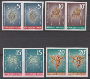 SENEGAL 1972-73 SEA LIFE IMPERF PAIRS MNH **