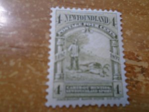 Newfoundland  # 64  MNH