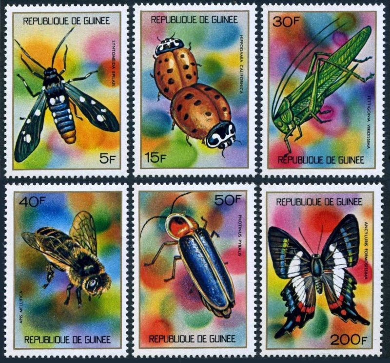Guinea 636-641, MNH. Mi 661-667. Butterflies, Beetles, 1973. Syntomedia epilais,