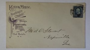 1890s New Rochelle New York Hazen Morse Chemist Medicine Ad Cover Ontario Bridge