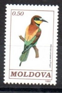 MOLDOVA - 1992 - BIRDS - 0.50 - MEROPS ARIASTER -