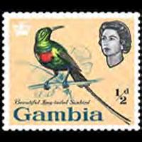 GAMBIA 1963 - Scott# 175 Sunbird 1/2p NH