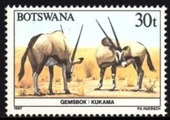 Botswana - 1987 Animals 30t Gemsbok MNH** SG 631