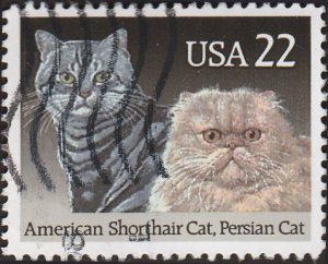 # 2375 USED AMERICAN SHORTHAIR & PERSIAN