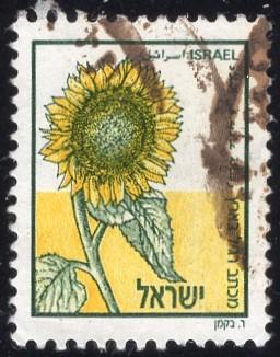 Israel 984 - Used - (30a) Sunflower (1988) (cv $1.15)