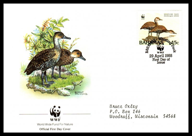 Bahamas 645-648 Birds WWF Set of Four Typed  FDCs VF
