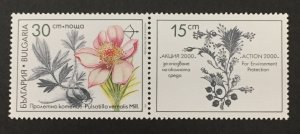 Bulgaria 1991 #3646, Flowers, MNH.