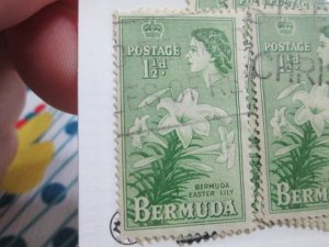 Bermuda #145 used  2022 SCV = $0.25