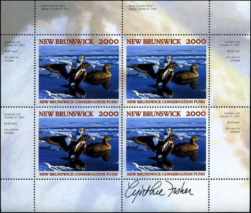 2000 New Brunswick King Elder Duck Wildlife by C Fisher