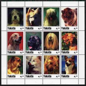 YAKUTIA SHEET DOGS