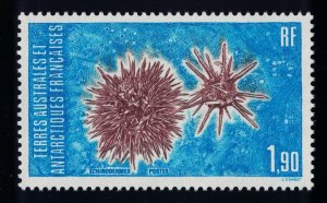 FSAT TAAF Echinoderms 1986 MNH SG#211 MI#211