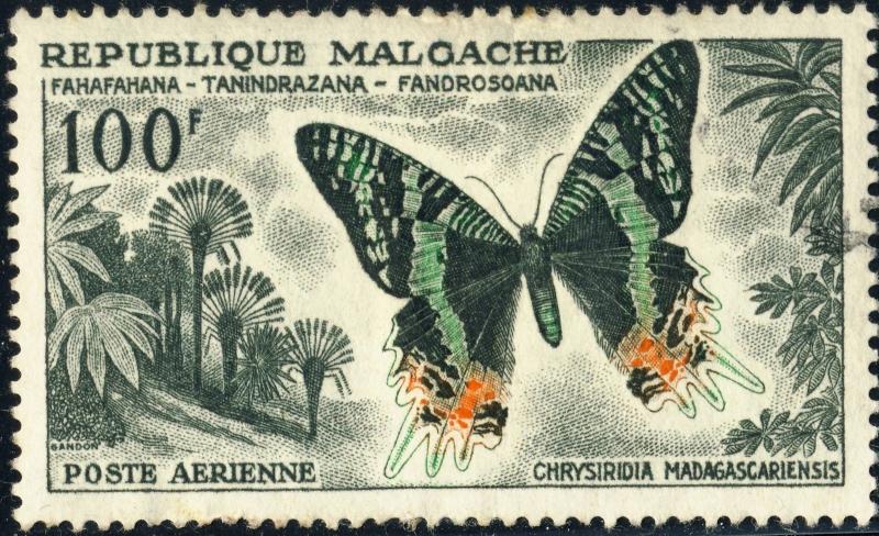 MADAGASCAR - 1960 100fr CHRYSIRIDIA MADAGASCARIENSIS Butterfly - Mi.458 Oblitéré