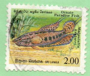 Sri Lanka  Scott  978  Used