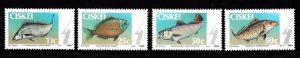 CISKEI SC# 69-72 FISHING - MNH