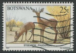 BOTSWANA 1987 - 25t USED