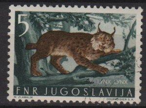 Yugoslavia 1954 - Scott 399 CTO - 5d, lynx